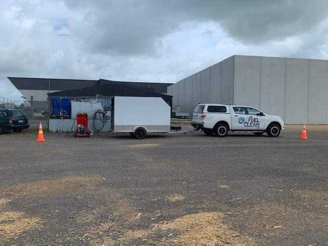 This is what Diesel Bug looks like!